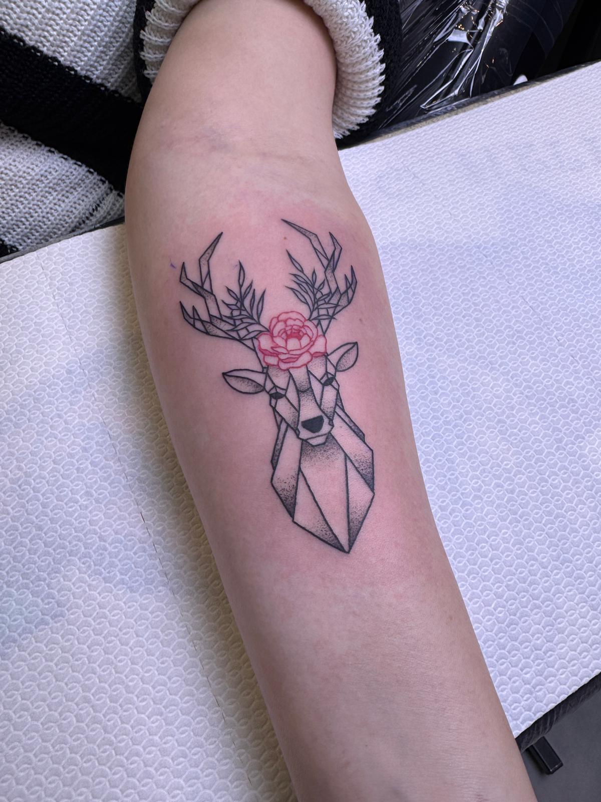 Zdjęcie Whatsapp 2025 02 07 O 20.47.19 Df4c3ad6