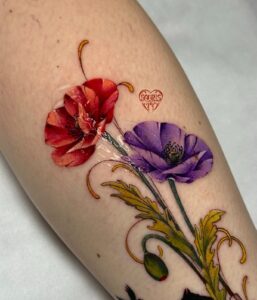 Whatsapp Image 2026 03 02 At 20.05.25