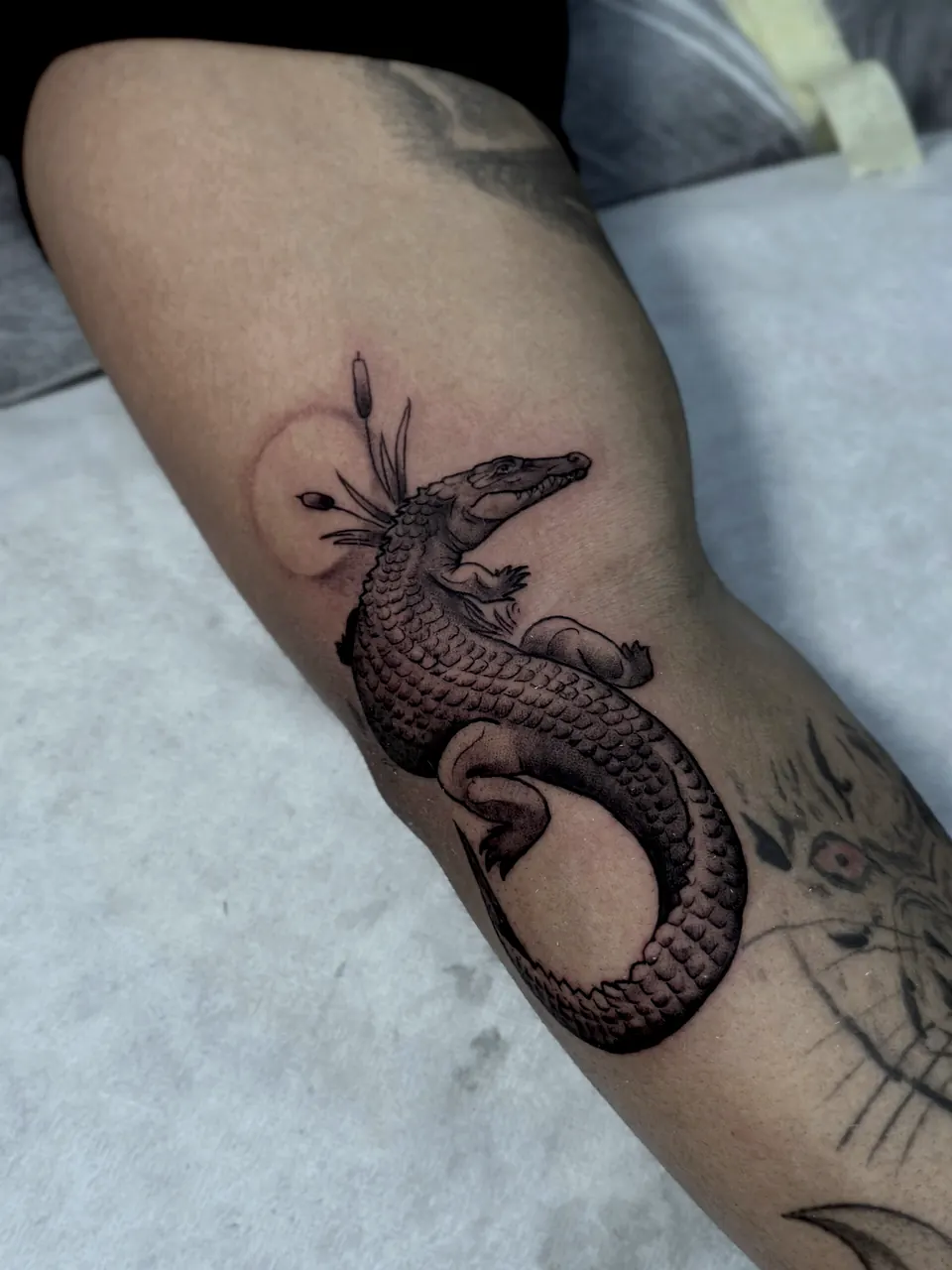 Tatuaż krokodyla black and grey na ramieniu